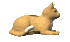 Previous Previous